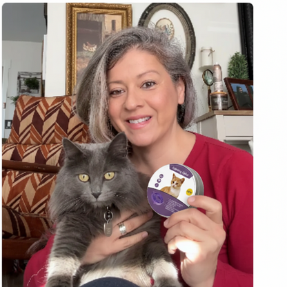 Collar Calmante Para Gatos